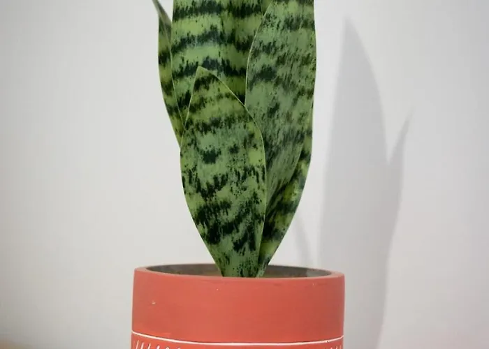 Дом отдыха Trixie Jolie Maison Avec Jardin *